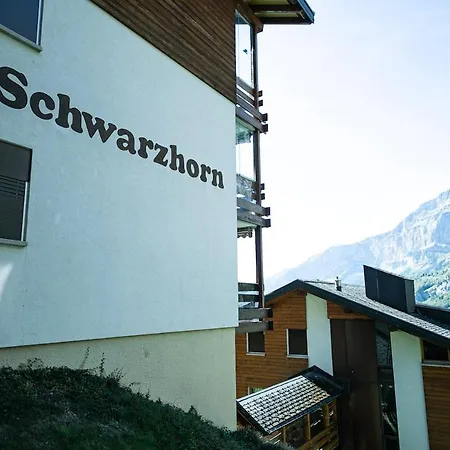 Schwarzhorn 2, Renoviert, Panorama-aussicht Appartement